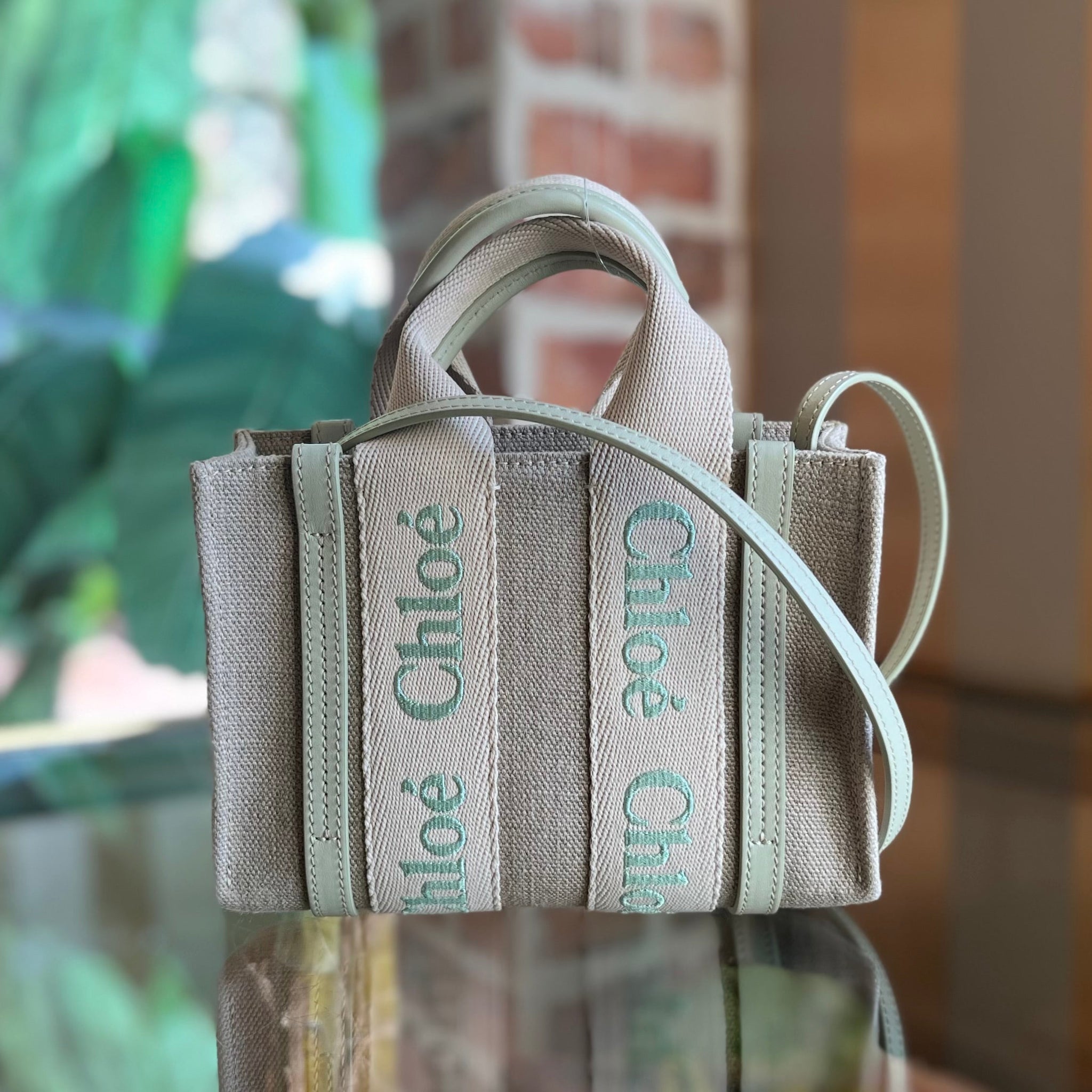 CHLOE Canvas Mint Green Mini Woody Tote