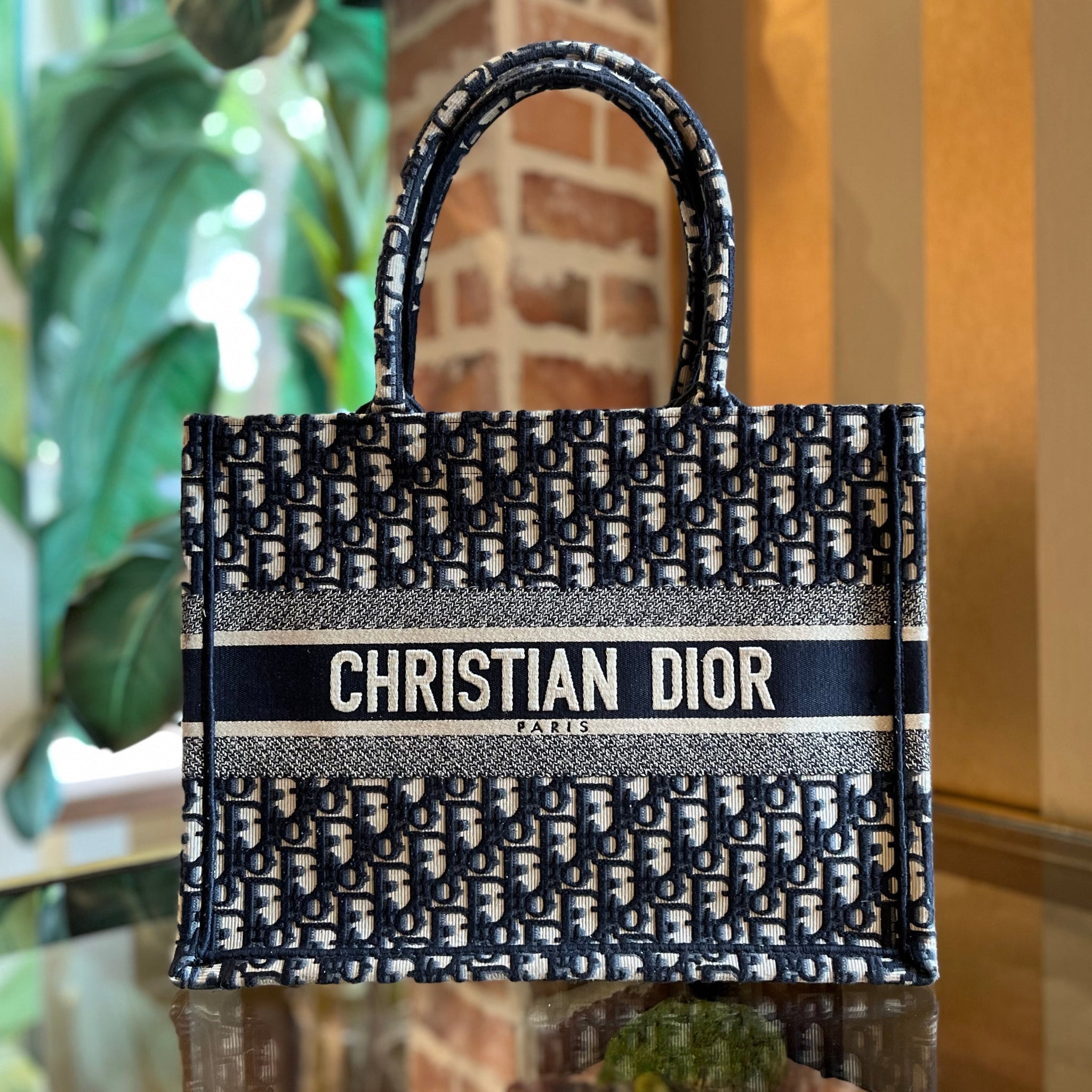 DIOR Book Medium Oblique Tote Bag